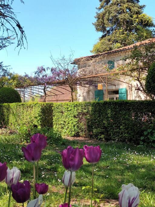 Apartamento Charmant Studio Avec Jardin A La Campagne Sur Le Chemin De Saint Jacques De Compostelle Lauzerte Exterior foto